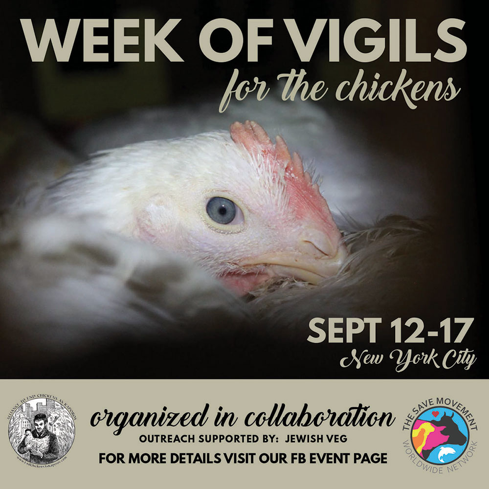 2018 NYC Week of Vigils for the Chickens
