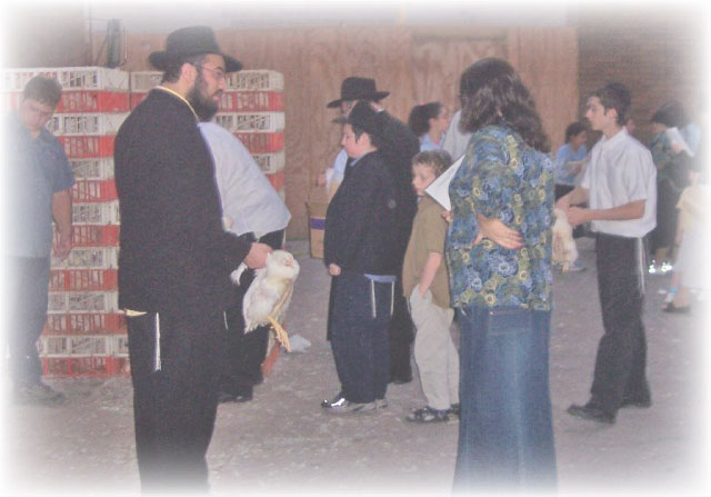 kapparot_practitioners (50K)